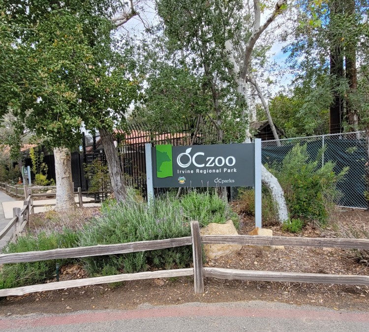 orange-county-zoo-photo